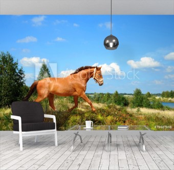 Picture of Pferde 132